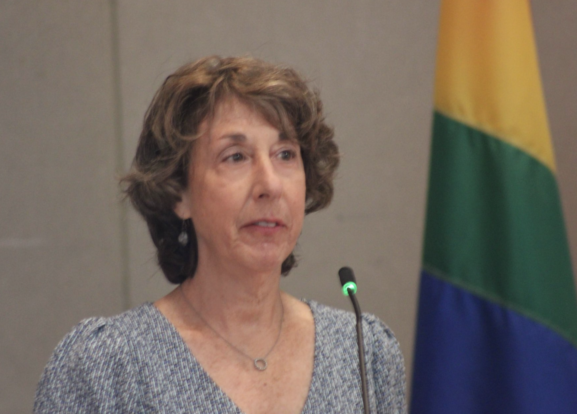 An image of Betsy Johnson from the chest up wearing a grey sweater. She is standing in front of a pride flag, talking.