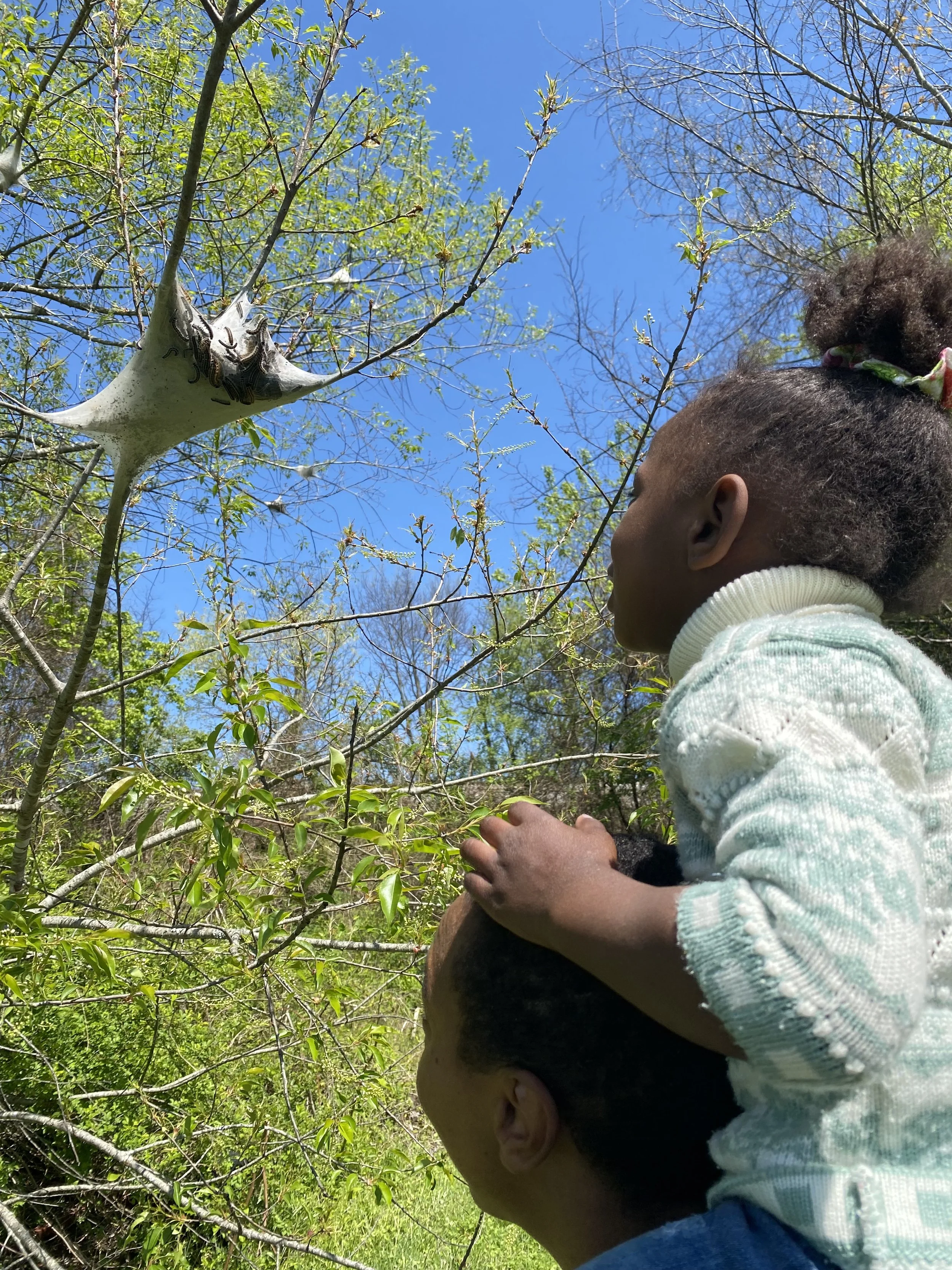 Nature Immersions at Lock 4 Boat Launch in Gallatin