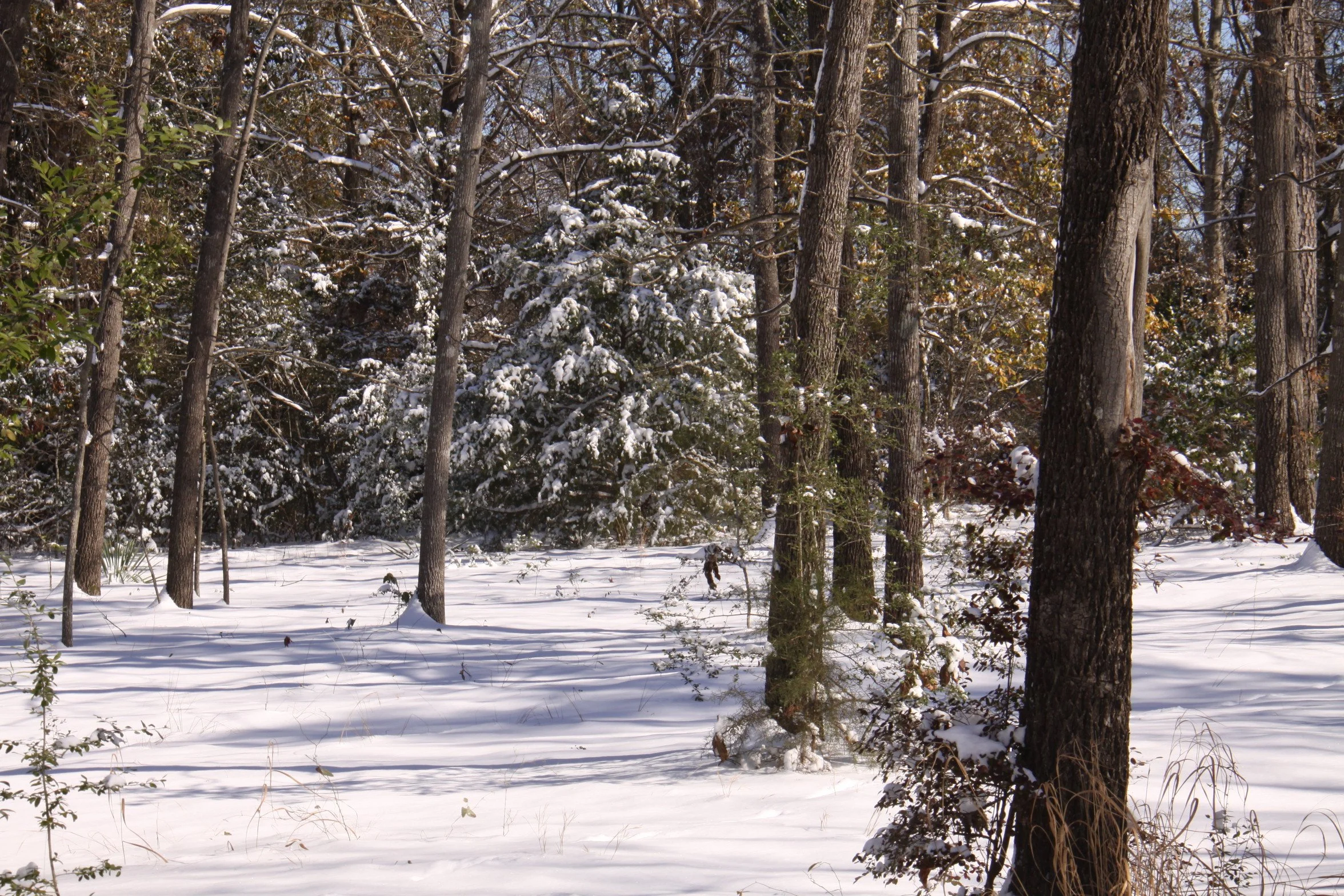 But It’s Too Cold Outside for Being in Nature!