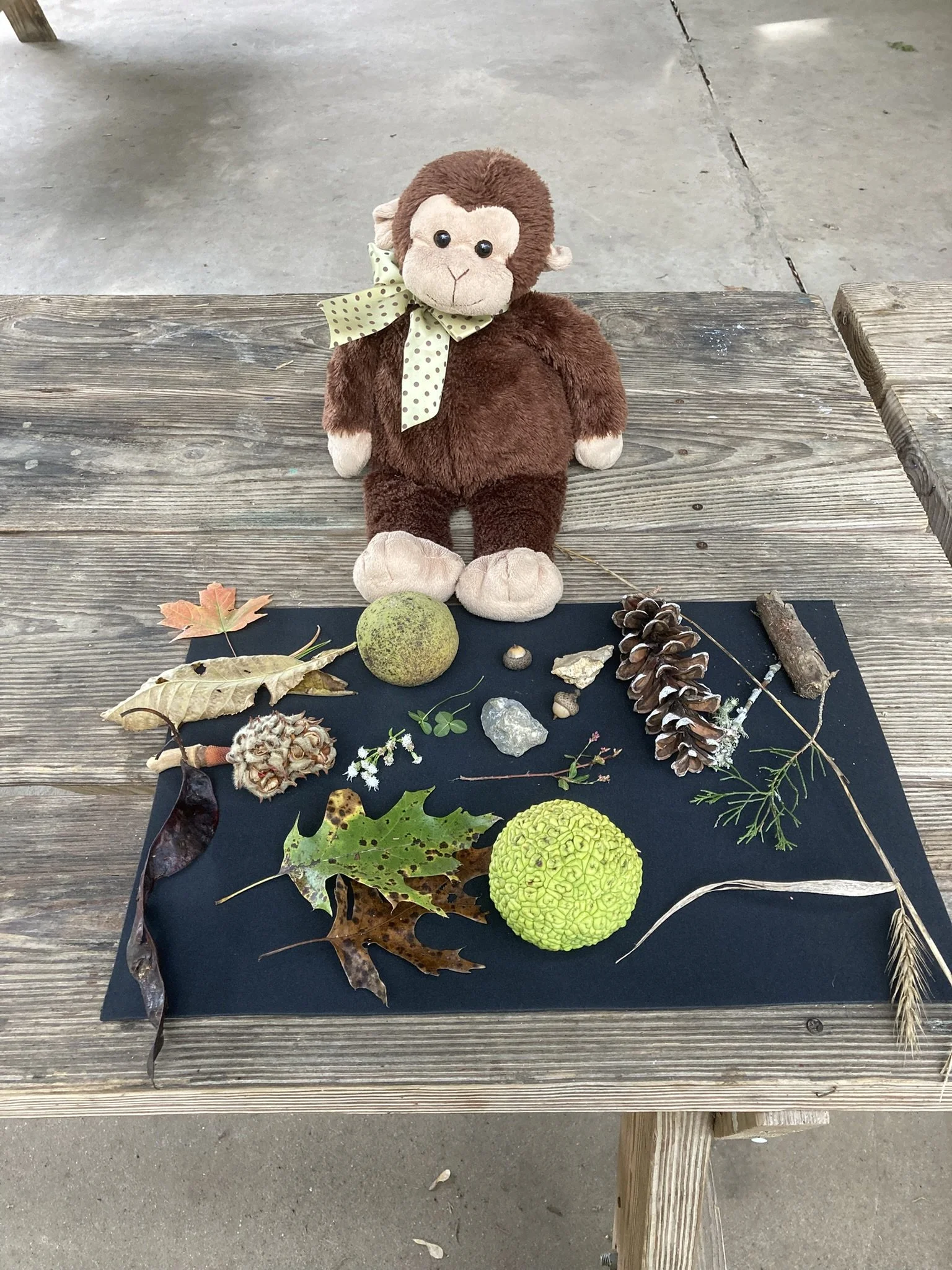 Pleasures of Presence for Preschoolers