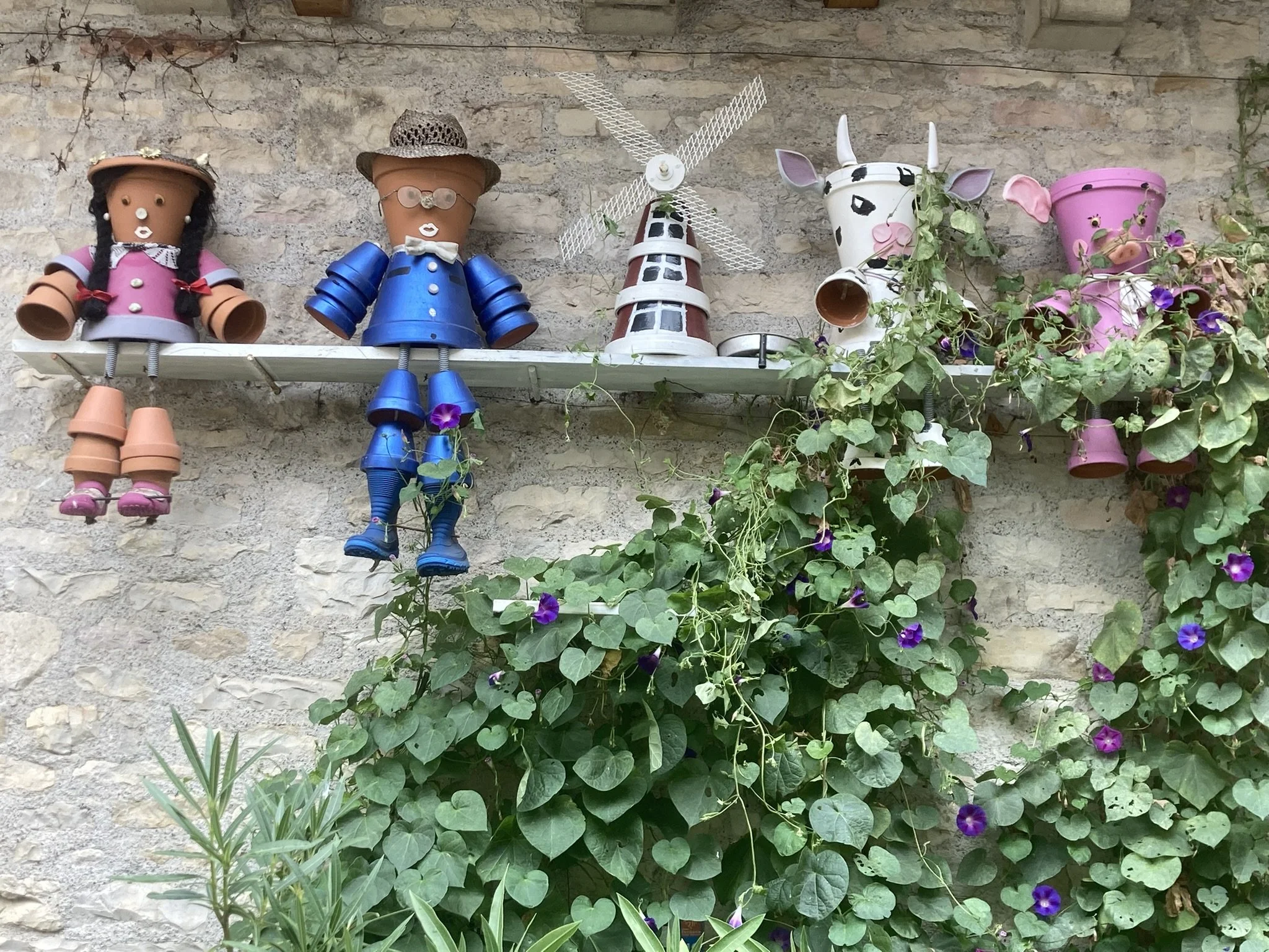 A playful side of nature and elements that go along with it ;)