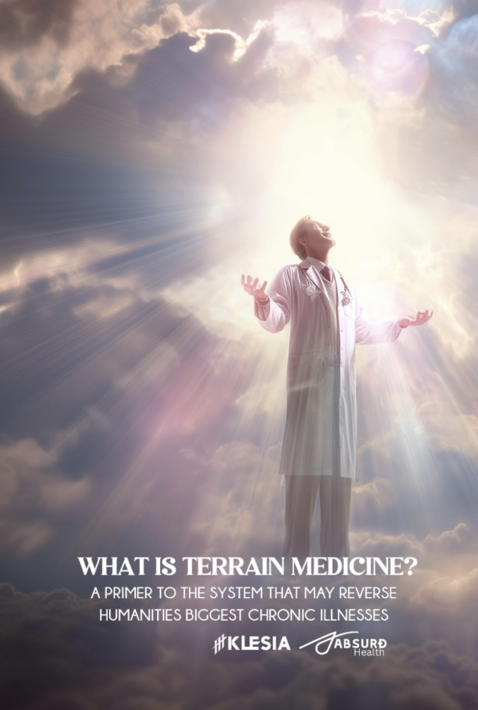 What Is Terrain Medicine: A Primer to the System that May Reverse Humanities Biggest Chronic Illnesses