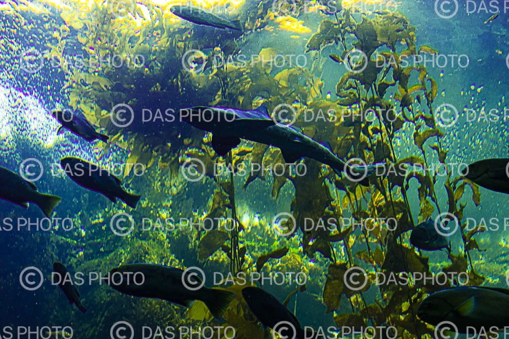 Watermakered-51.jpg