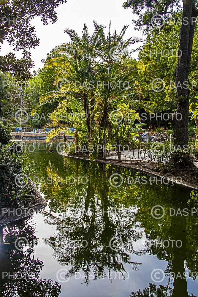 Watermakered-47.jpg