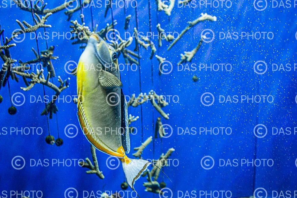 Watermakered-28.jpg