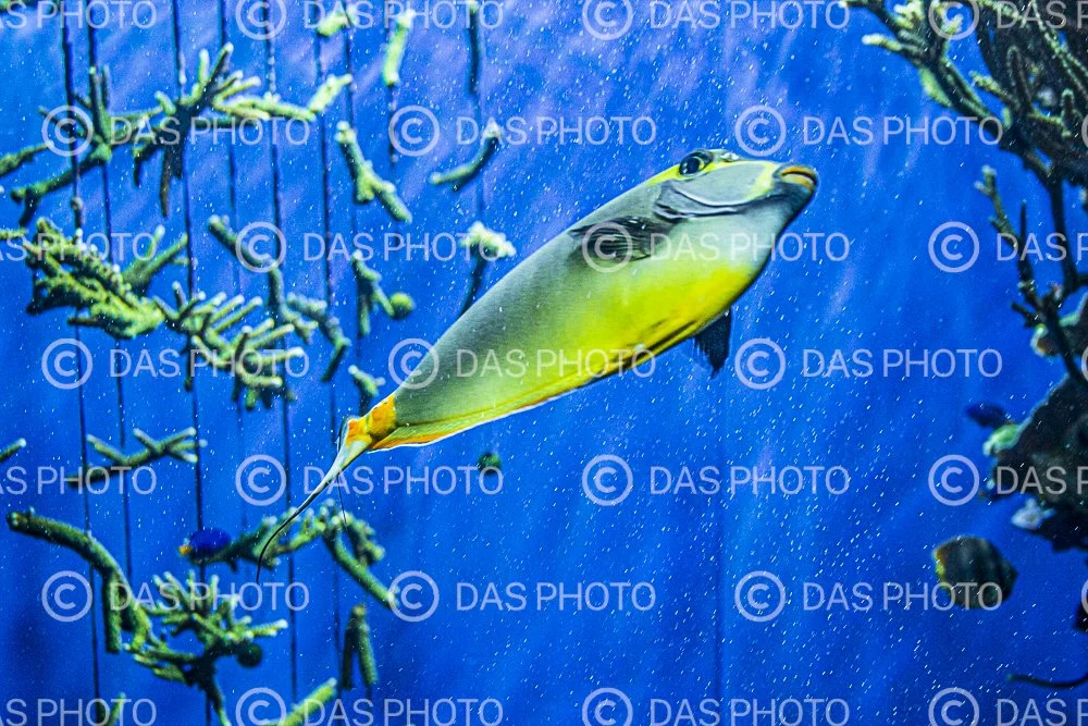 Watermakered-29.jpg