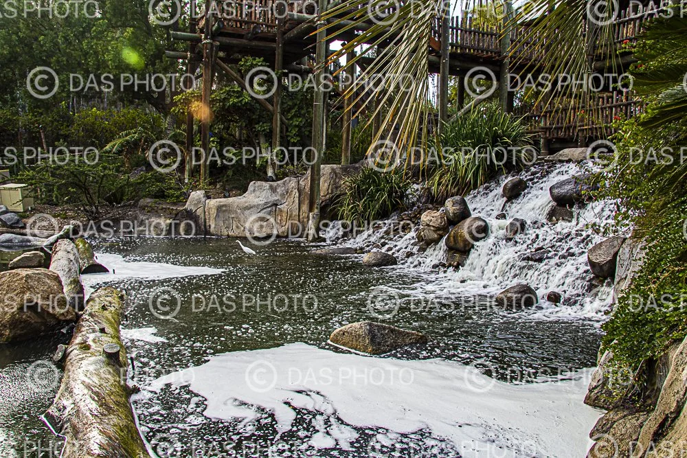 Watermakered-45.jpg