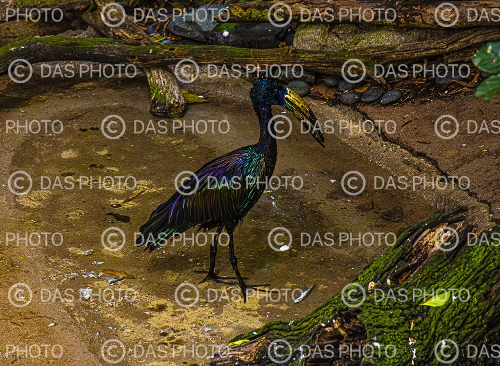 Watermakered-34.jpg