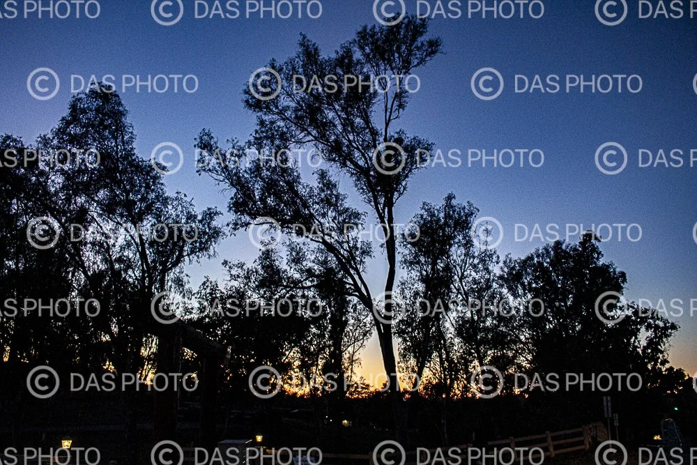 Watermakered-15.jpg