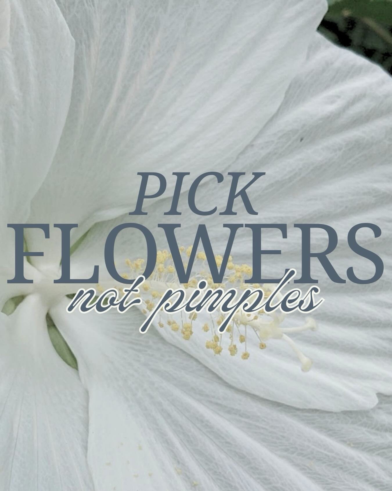 pick flowers, not pimples 🤍✨

picking acne may feel satisfying in the moment, but it can push bacteria + inflammation deeper into the skin, leading to more breakouts, prolonged healing, scarring, + post-inflammatory pigmentation. 

your skin heals b