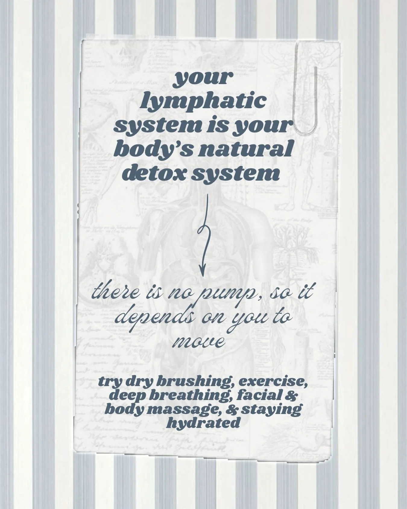 your body was designed to heal, flow, &amp; restore itself naturally 🤍

🫧 the lymphatic system is a quiet but powerful part of that process - helping move stagnant fluid, release toxins, support immunity, &amp; create balance within the body

🫧 un