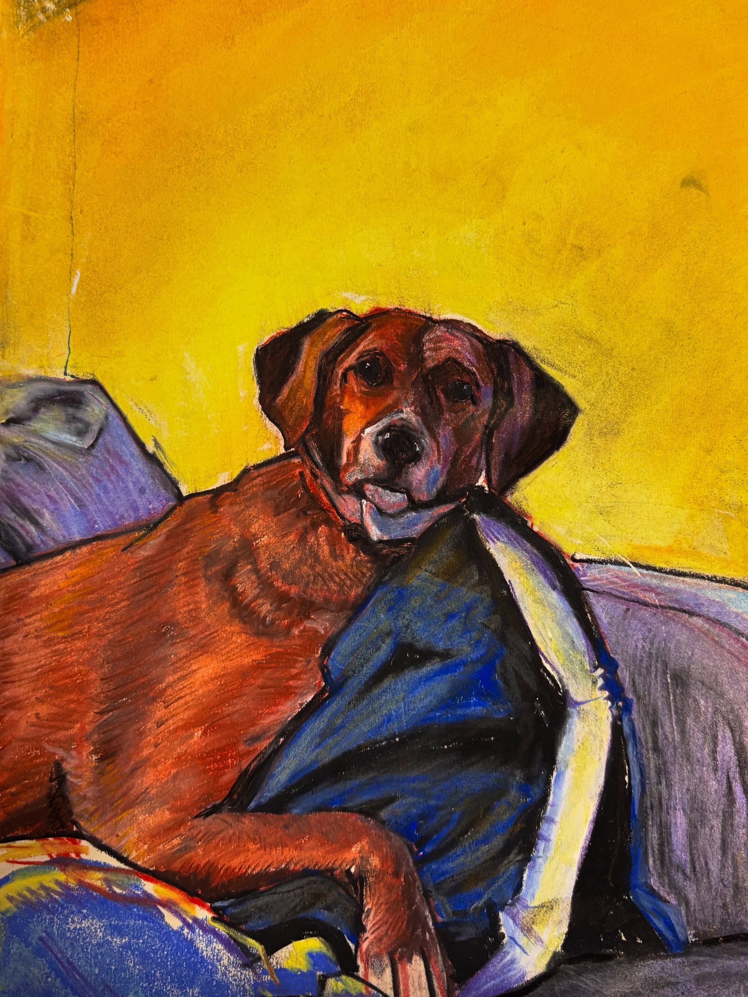 I was getting worried I might never draw or paint ever again! Soft Pastel drawing of miss Ruby in my big sketchbook. #softpastel
