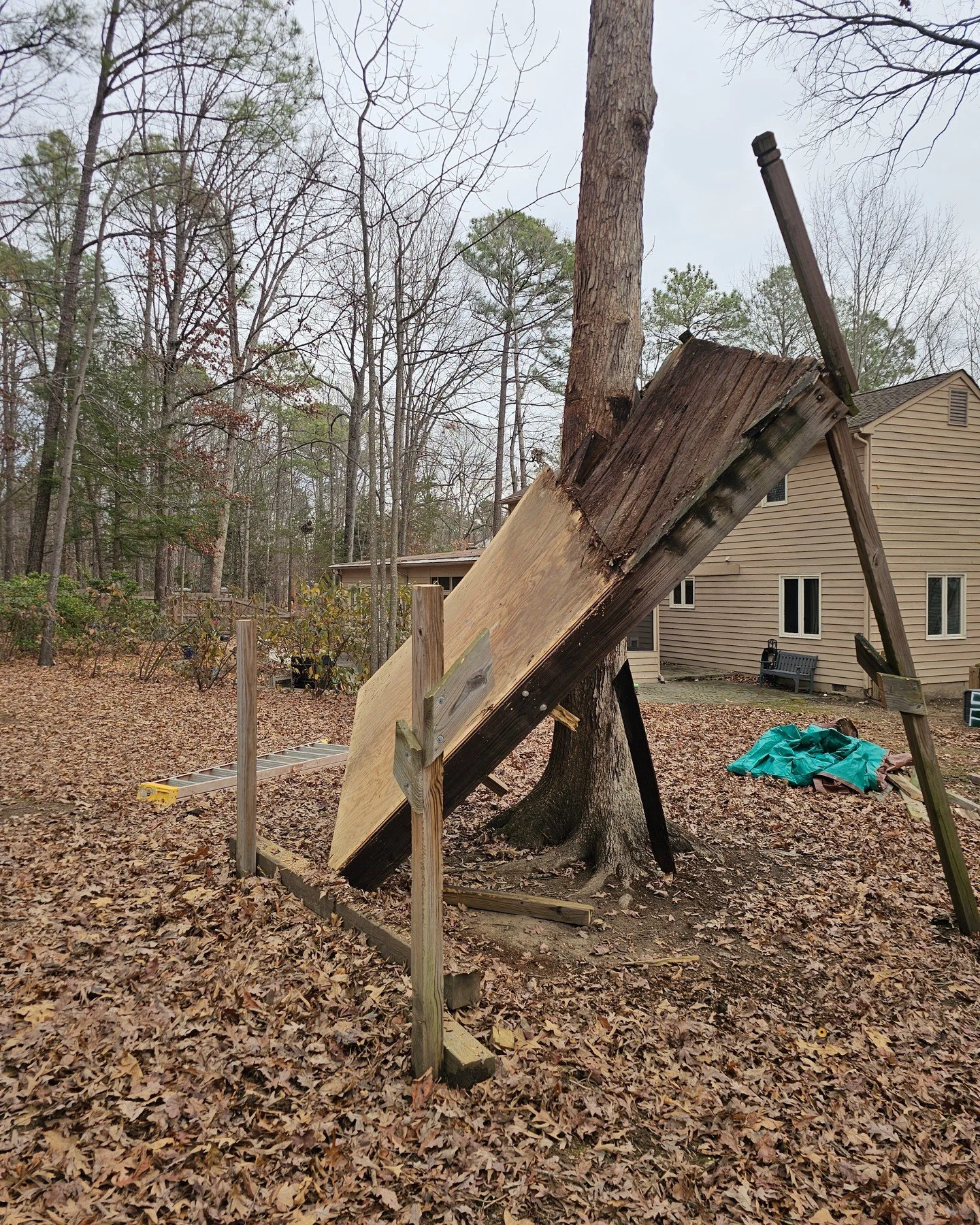 All in a day's work! Tree house demo for our client🌳🏚

#Demo #Treehouse #OakstoneCreations