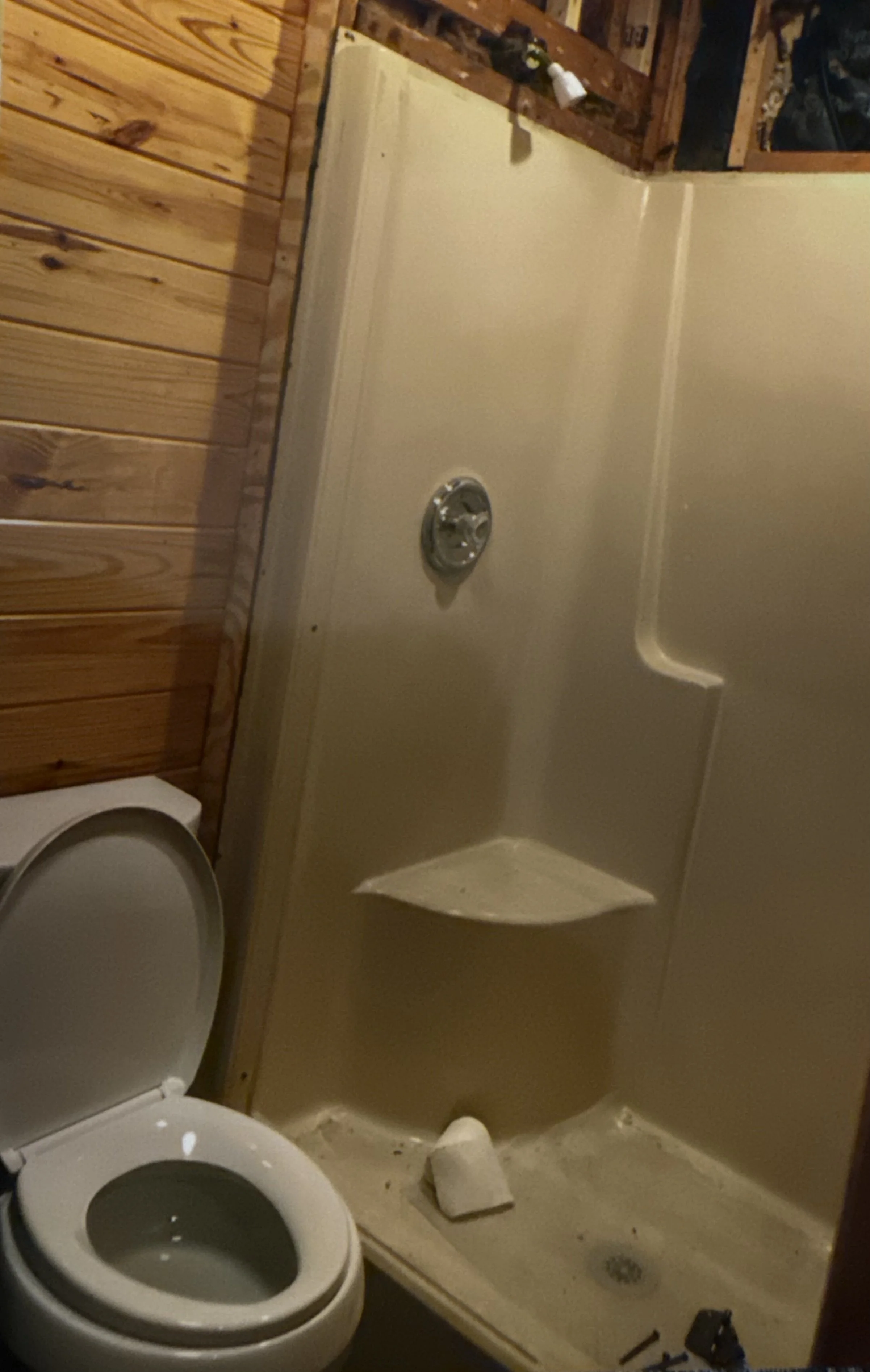 Shower update in Dunnellon - BEFORE