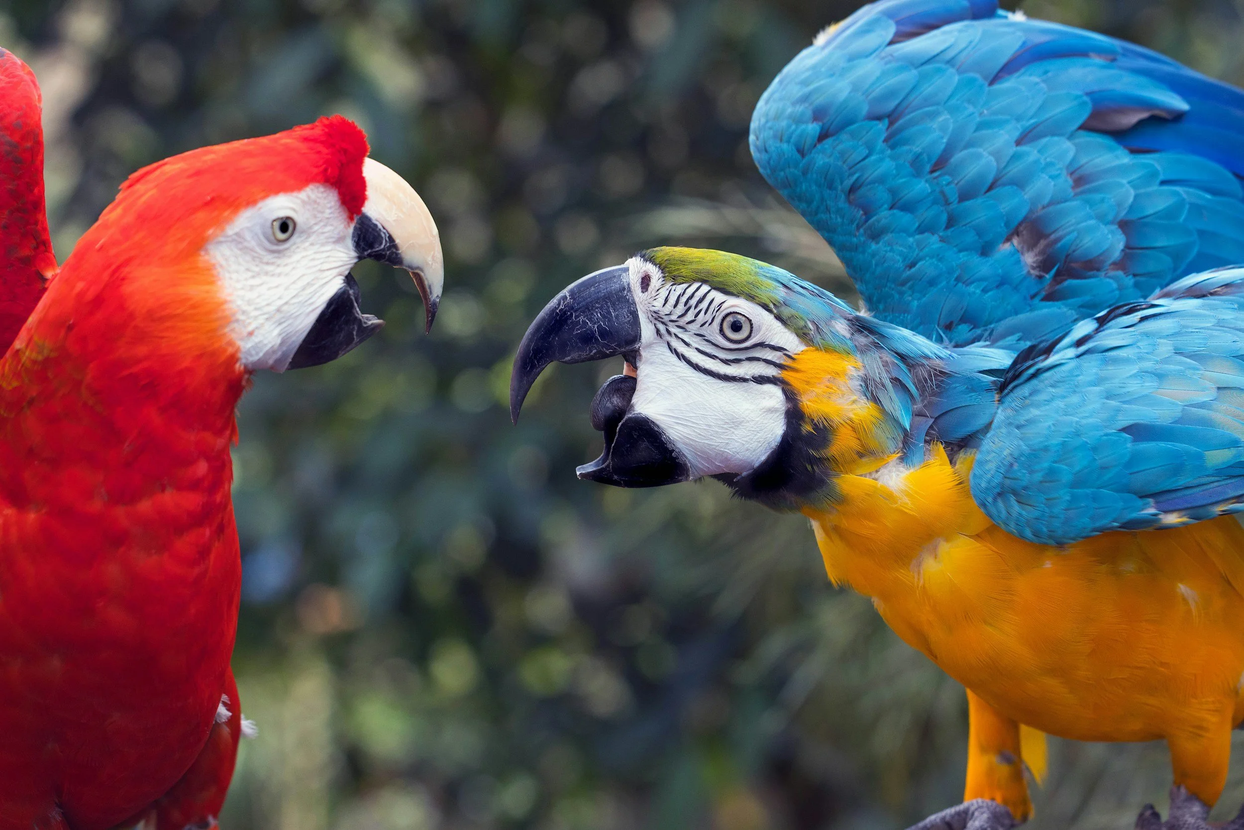 The Hidden Cost Of Avoiding Difficult Conversations