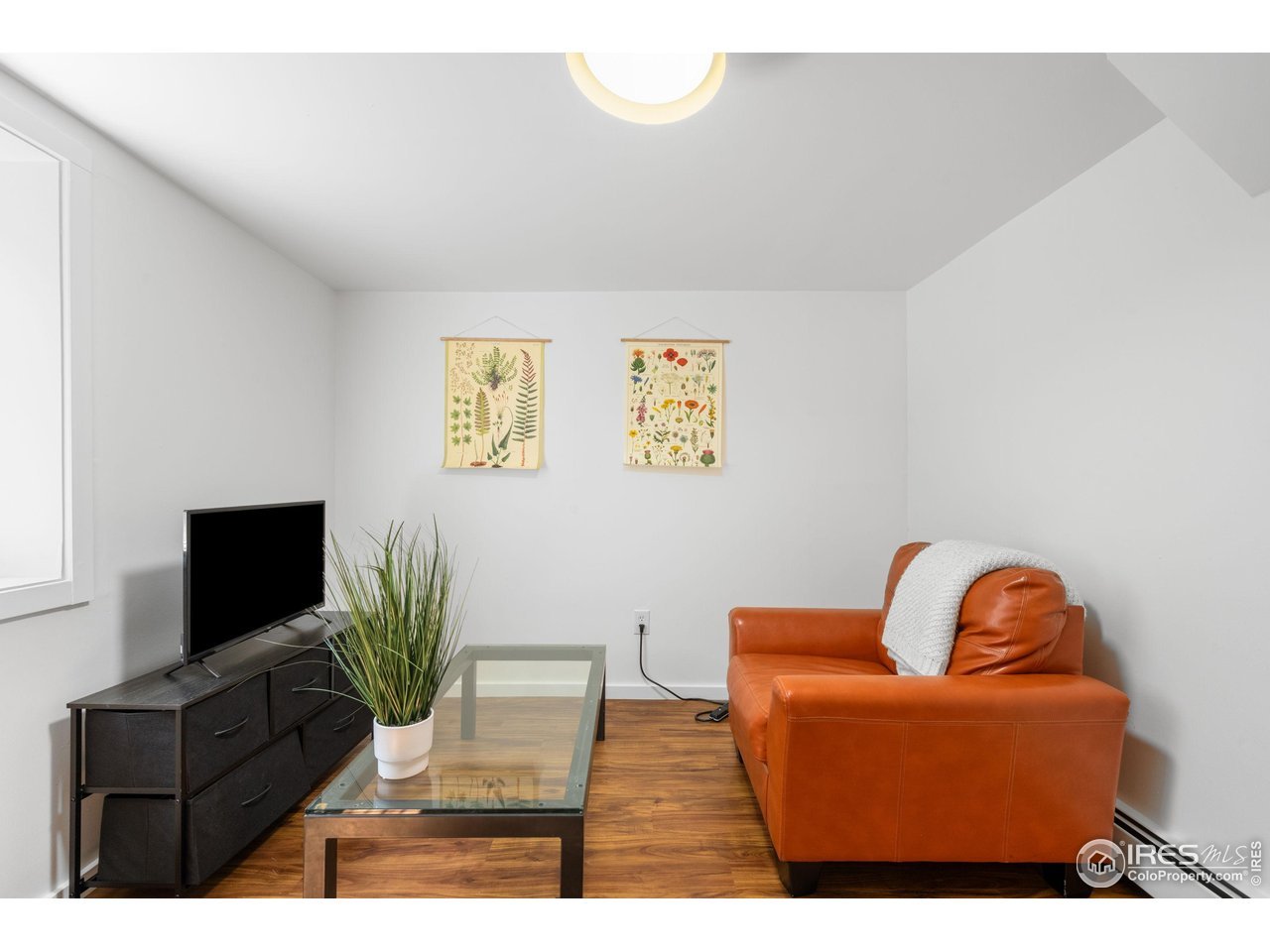 345ColgateTvRoom.jpg