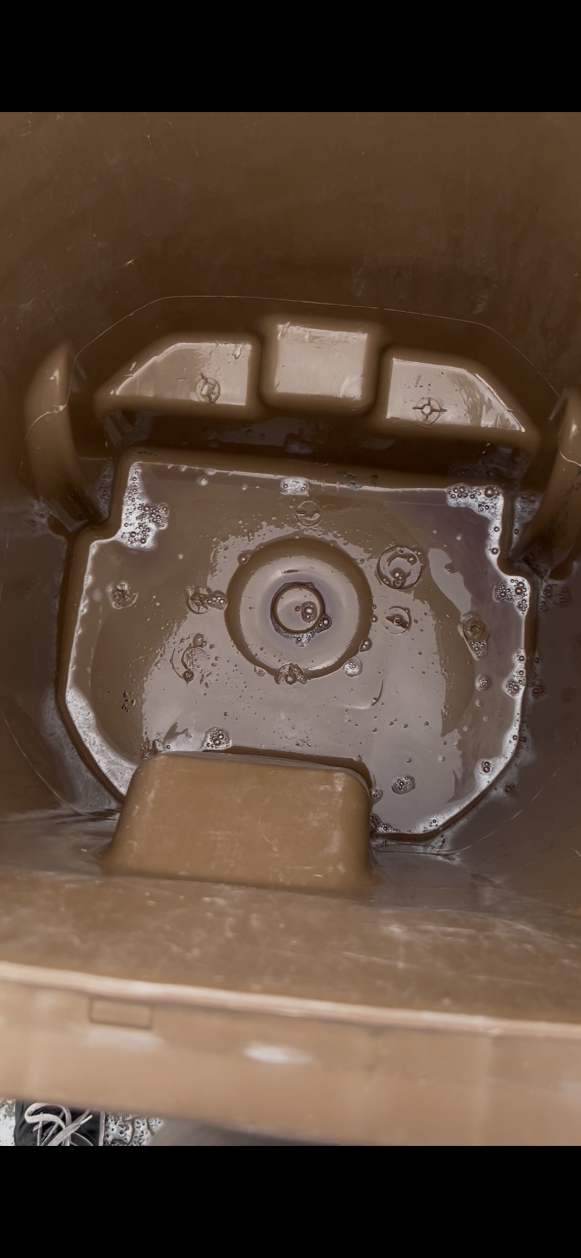 IMG_9110.png