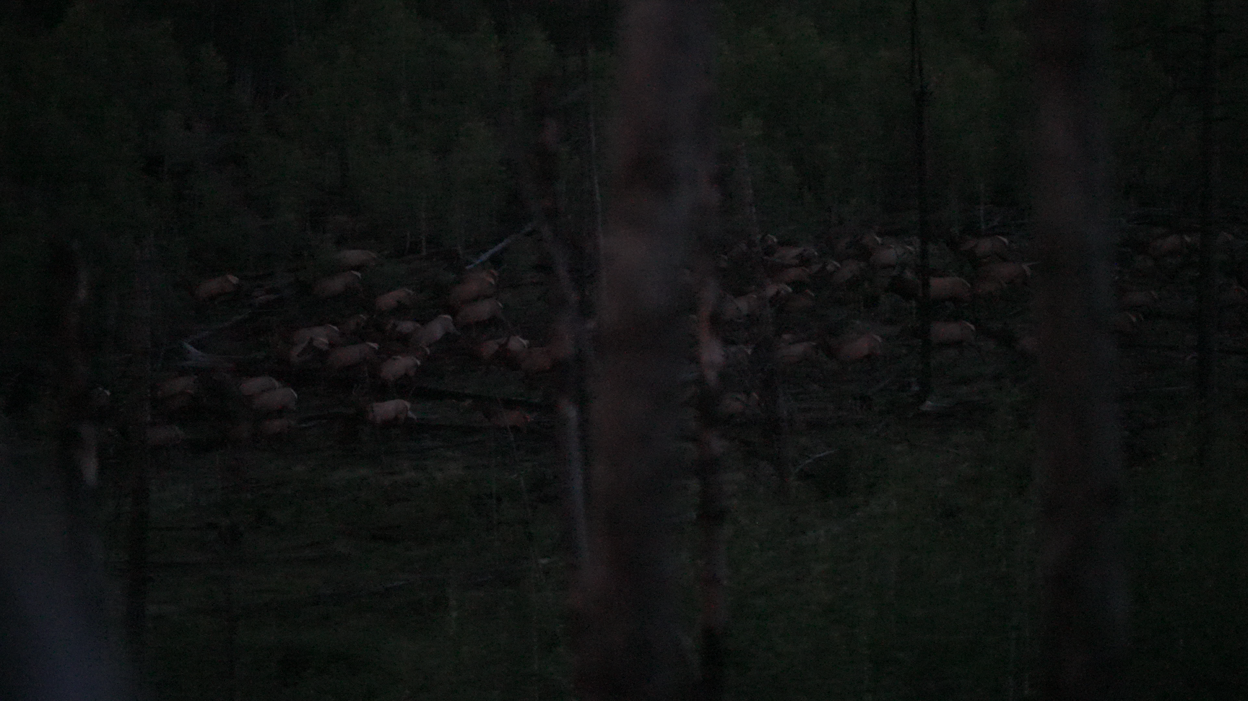 Behind the Hunt_01_00_22_03.png