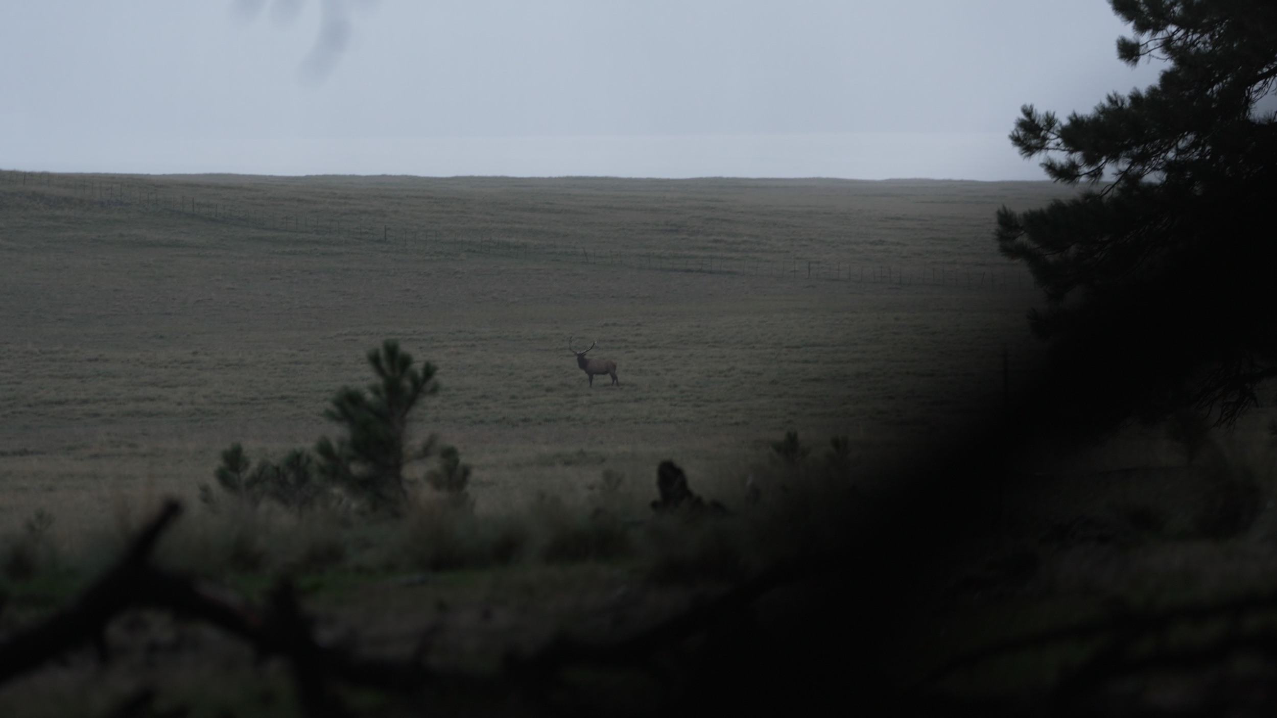 Behind the Hunt_01_17_44_18.png