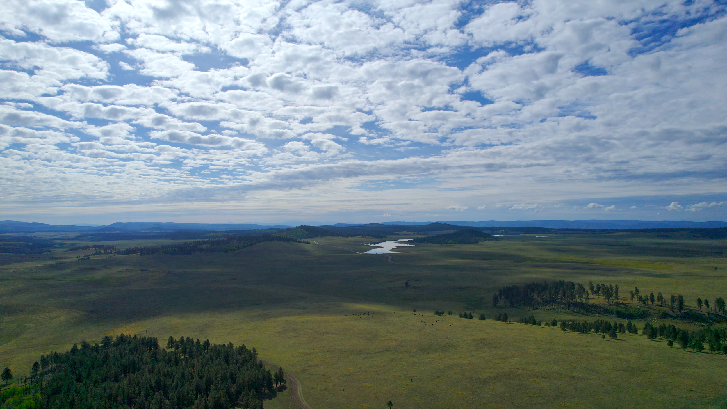 Behind the Hunt_01_02_35_02.png