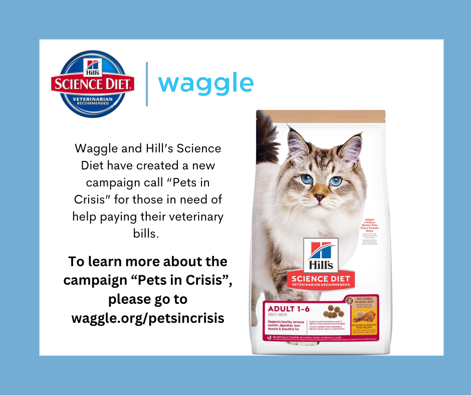 Waggle.3.png