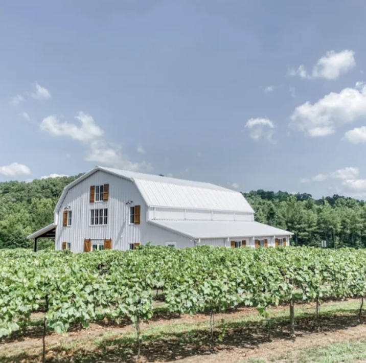 Qualusi Vineyards