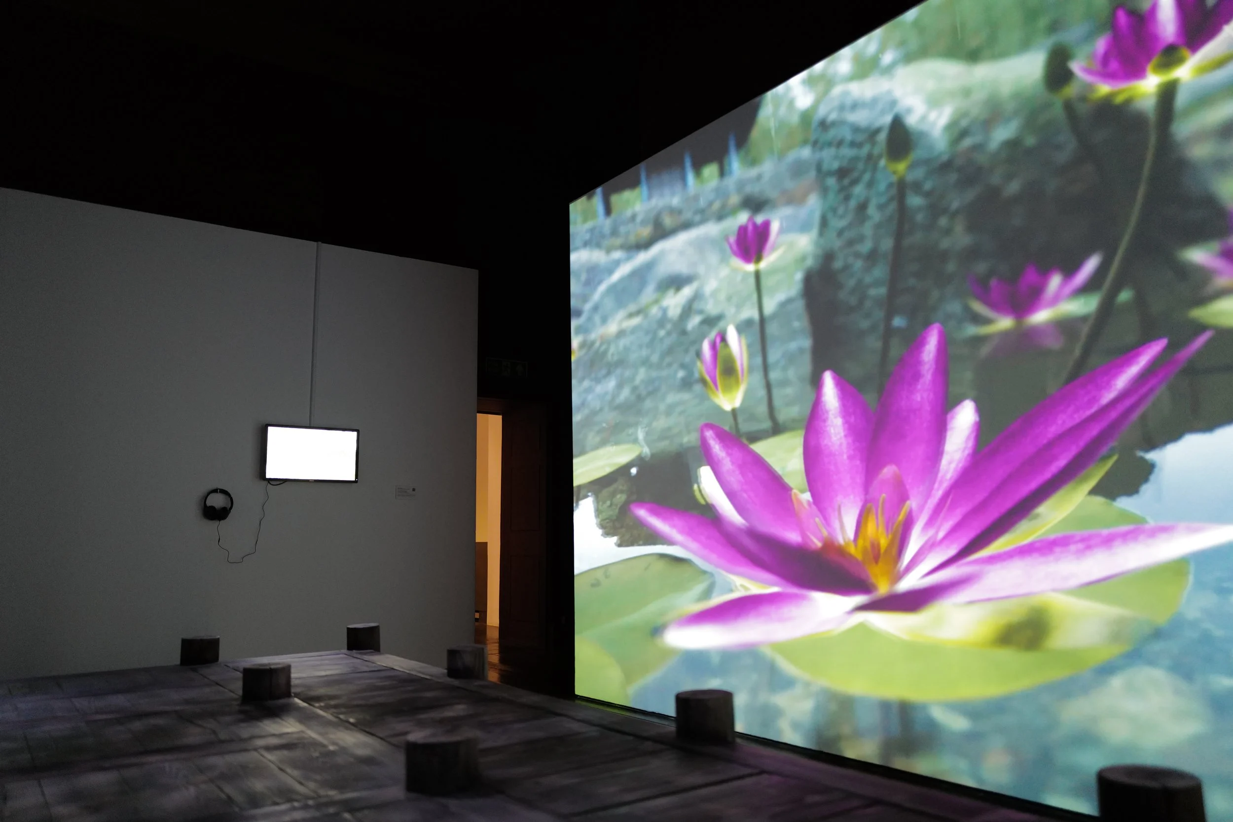 5 Exhibition 01.JPG