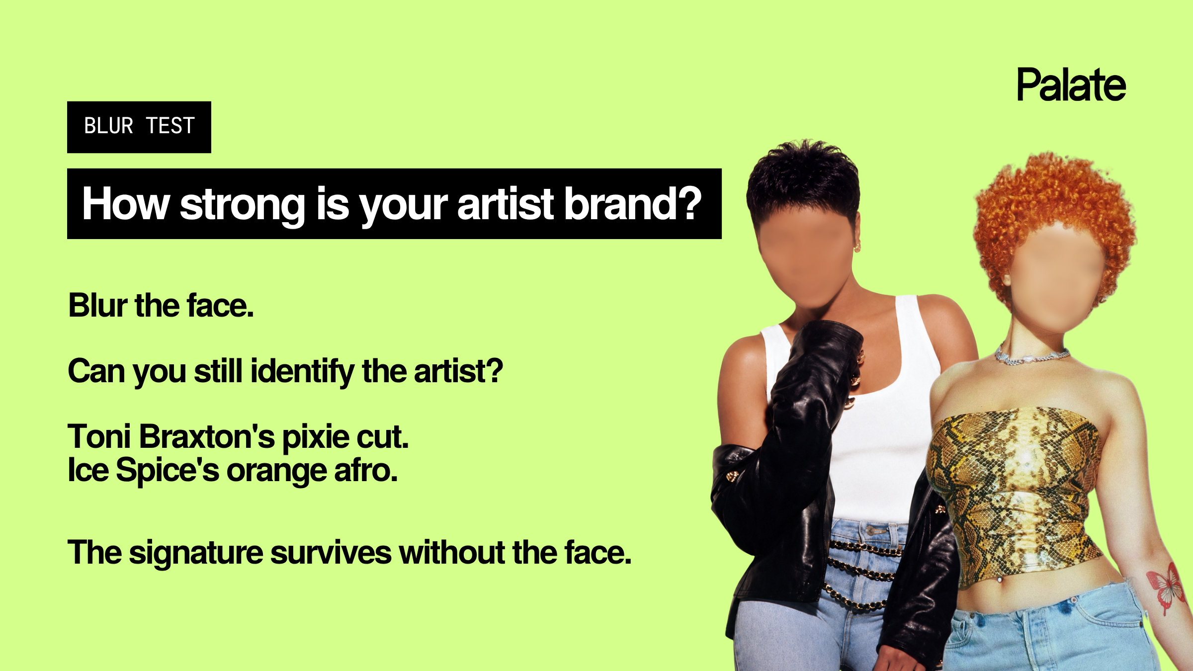 Artist branding blur test using Toni Braxton and Ice Spice to demonstrate recognizable visual identity