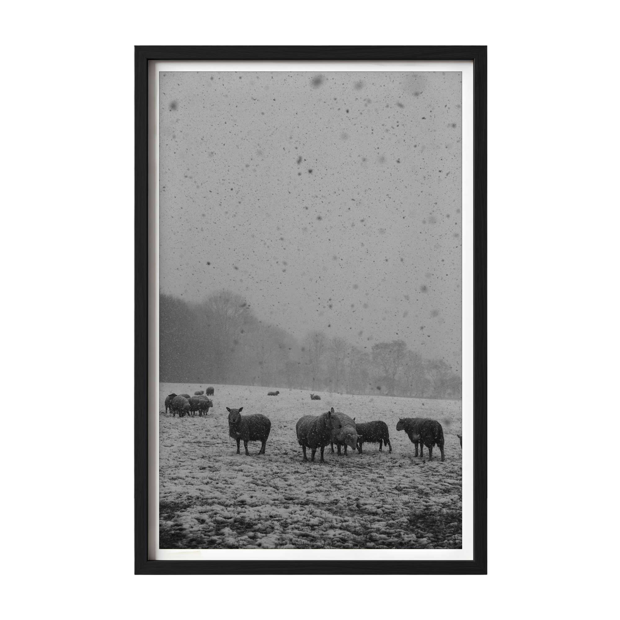 Quietude-Black.jpg
