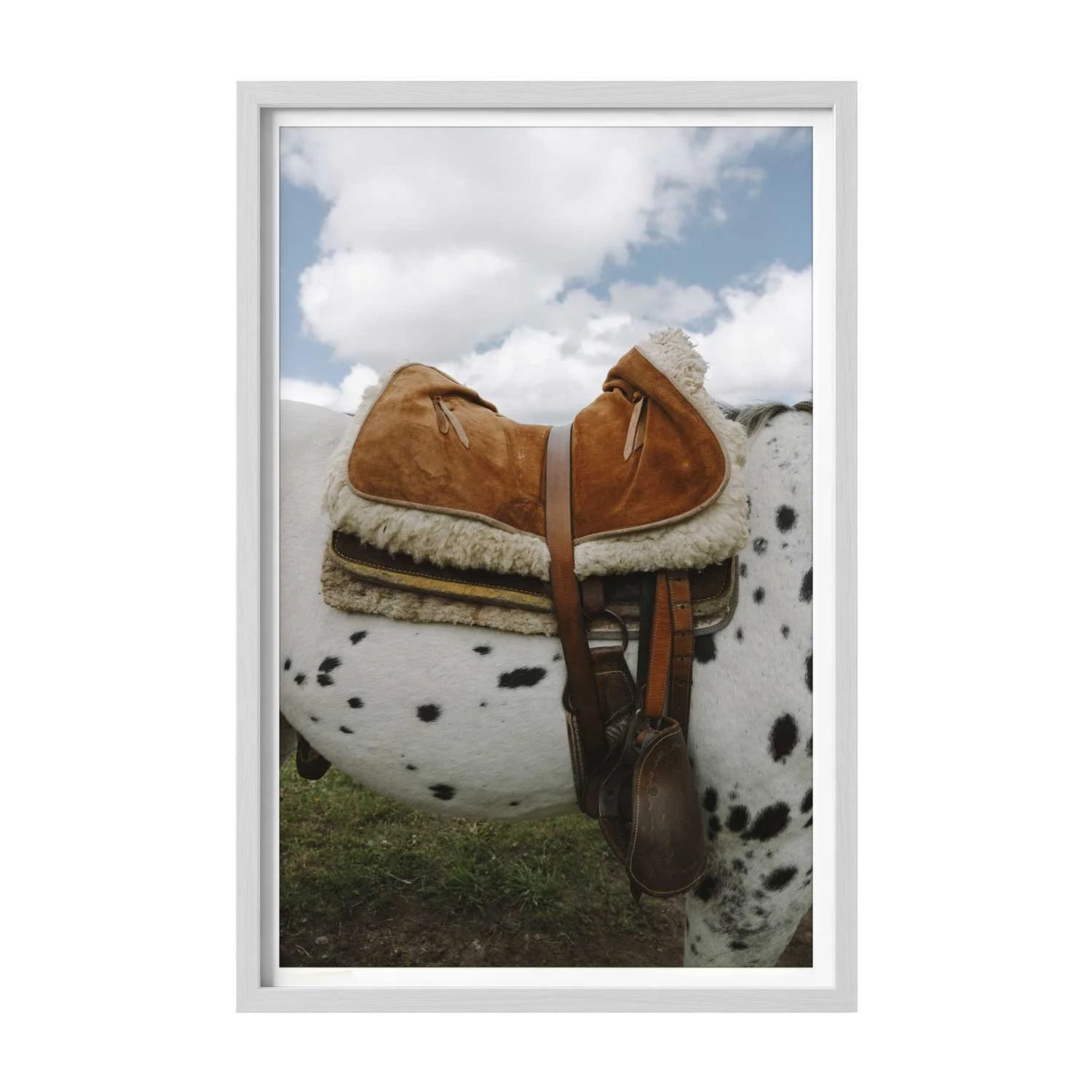 Horseback-White.jpg