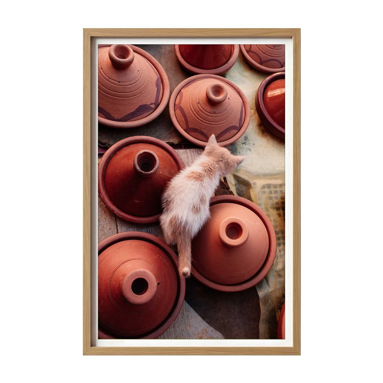 Cats-and-Tajines-Light.jpg