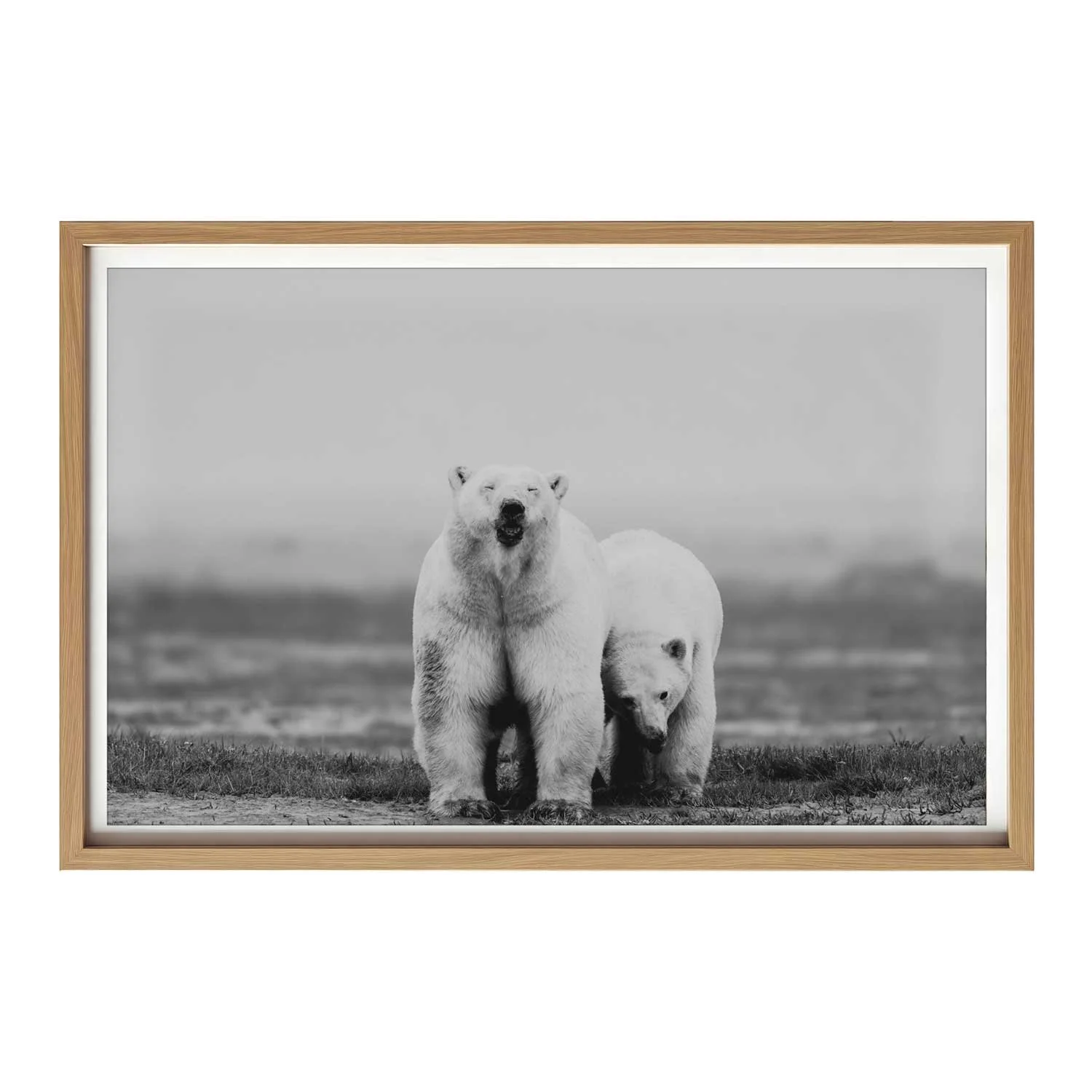 Polar-Bears-Light-Wood.jpg