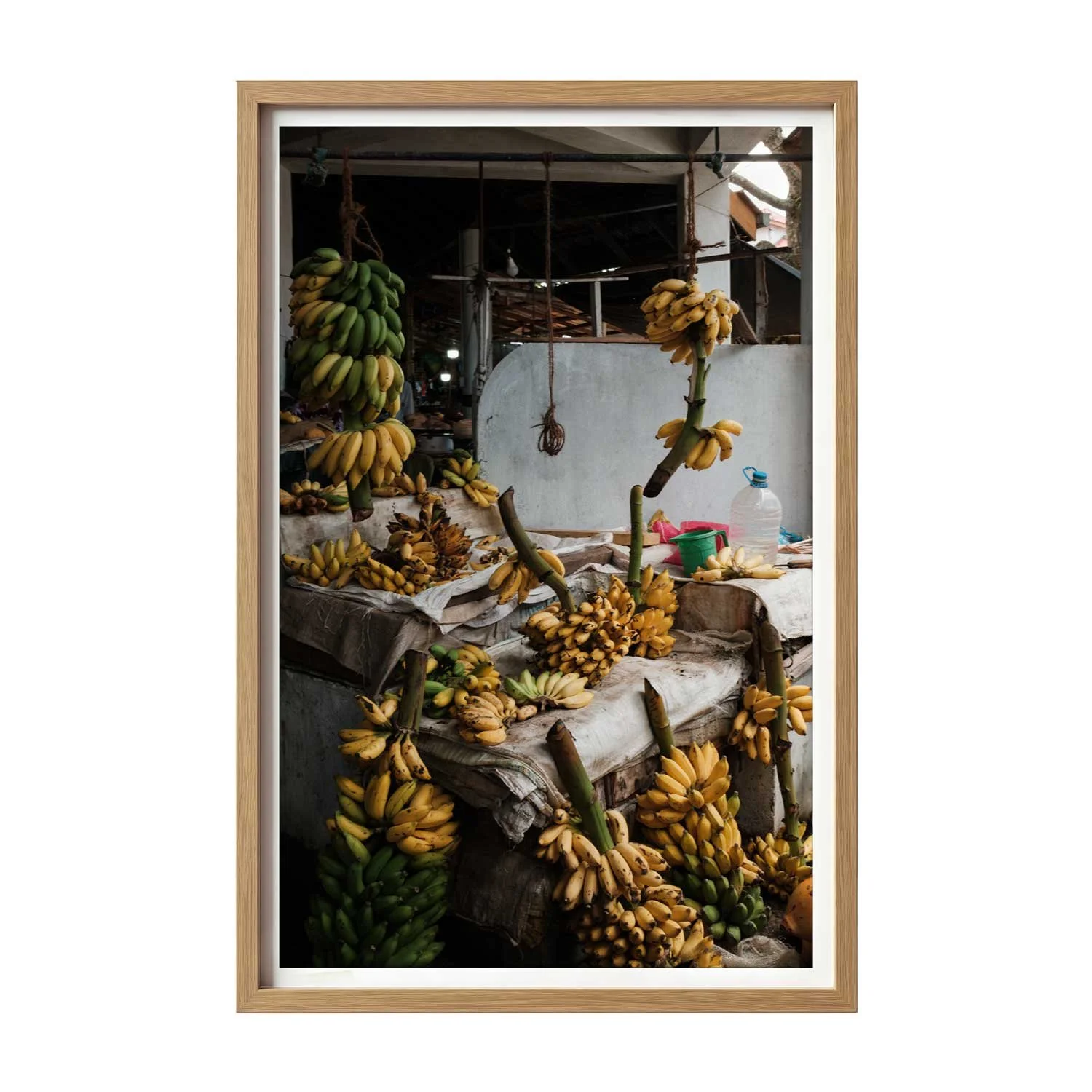 Banana-Kingdom-Light.jpg