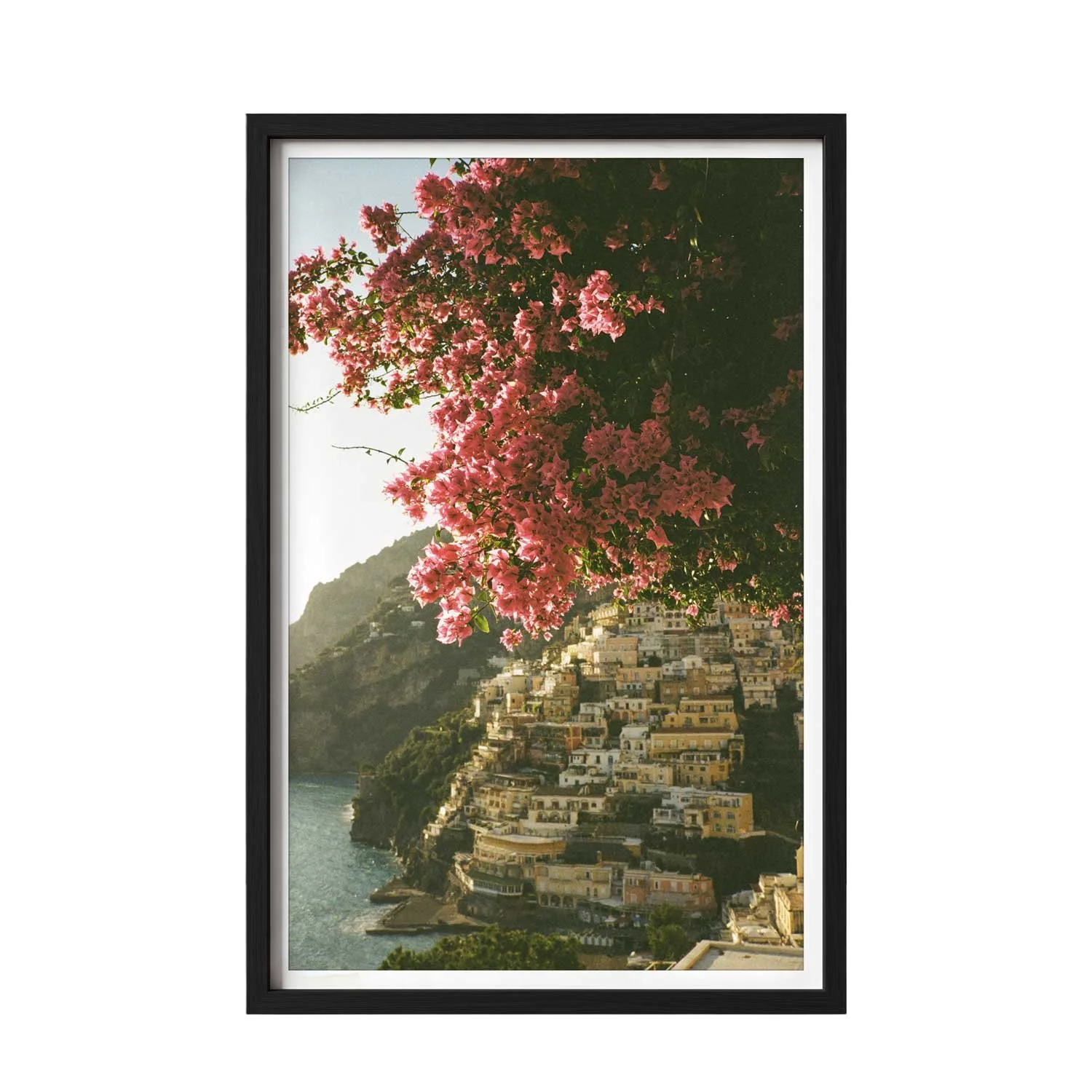 Amalfi Bloom