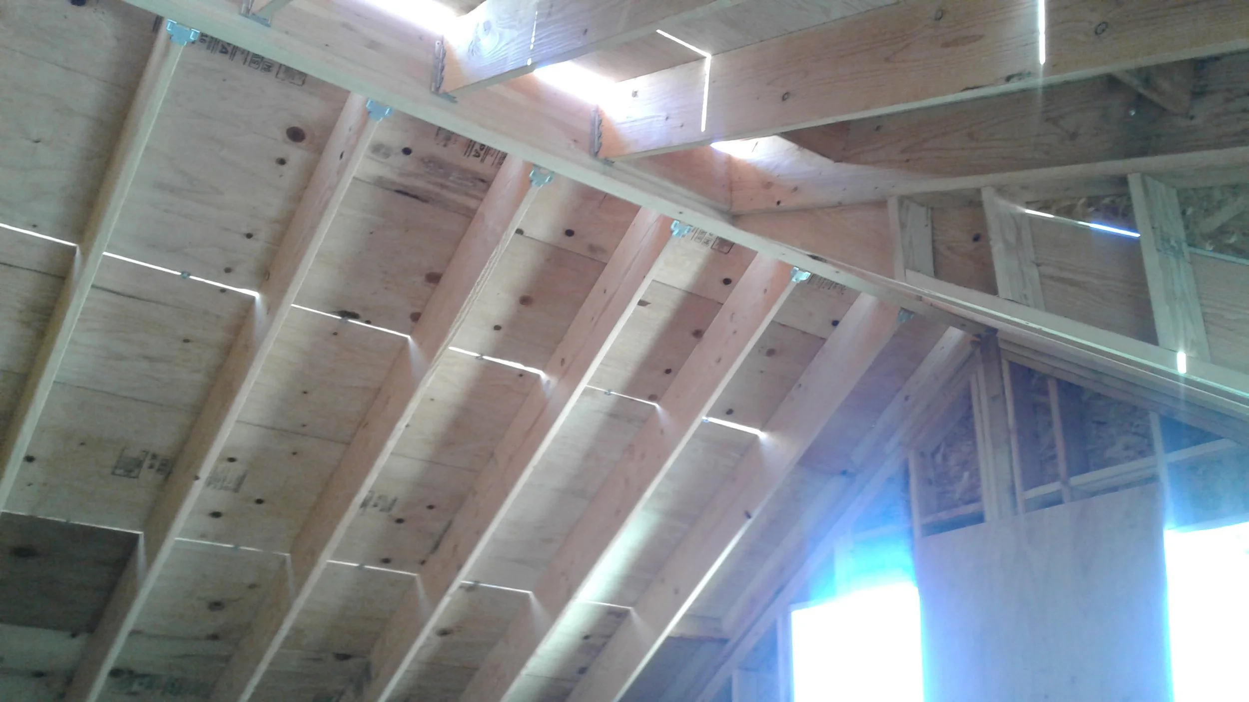 20200507_100248.jpg