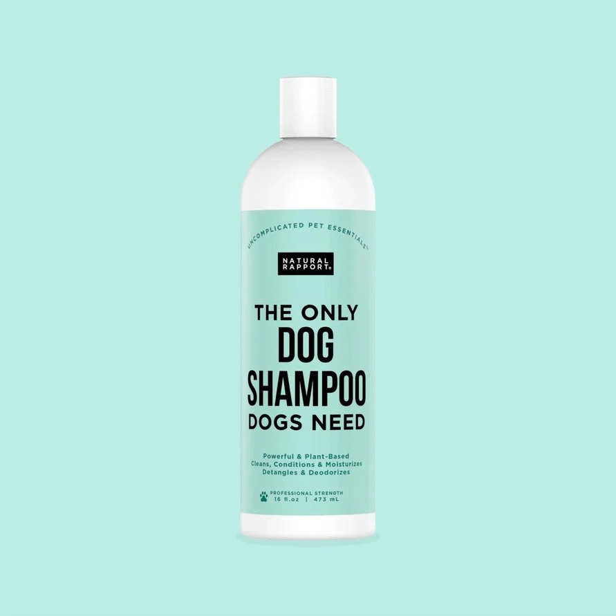 Shampoo.jpeg