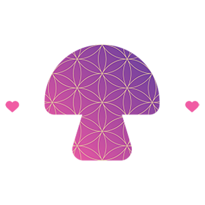 Tiny Heart Collective