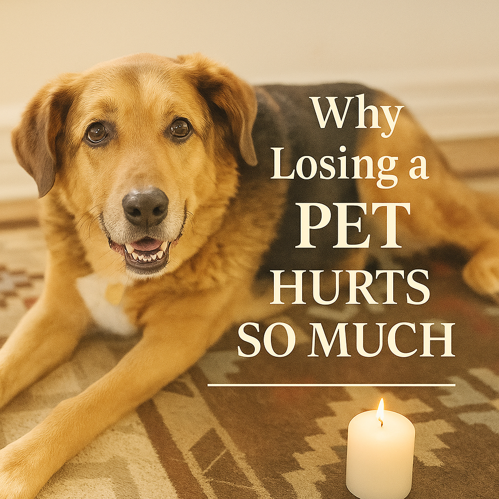 A senior dog lying calmly on a patterned rug, looking toward the camera. A lit white pillar candle sits nearby, creating a warm, peaceful atmosphere.
