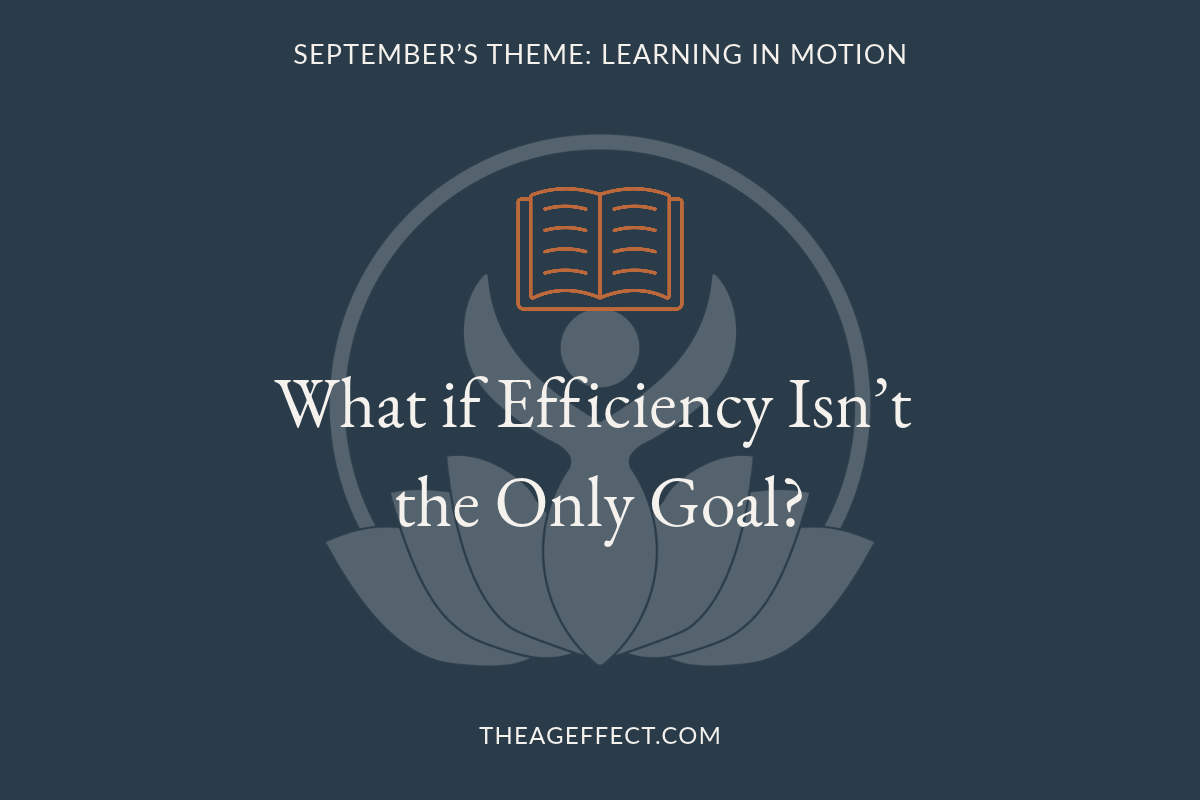 What if Efficiency Isn’t the Only Goal?