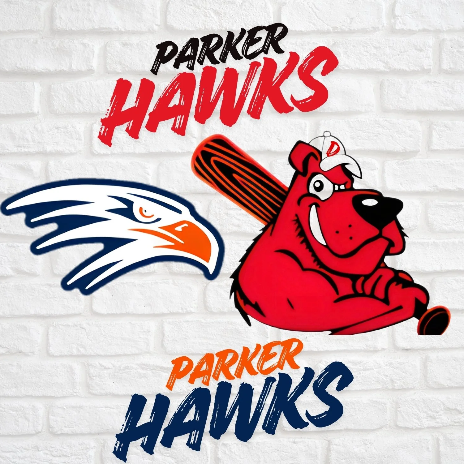 Welcome &amp; Program Clarification – Dirt Dawgs / Parker Hawks