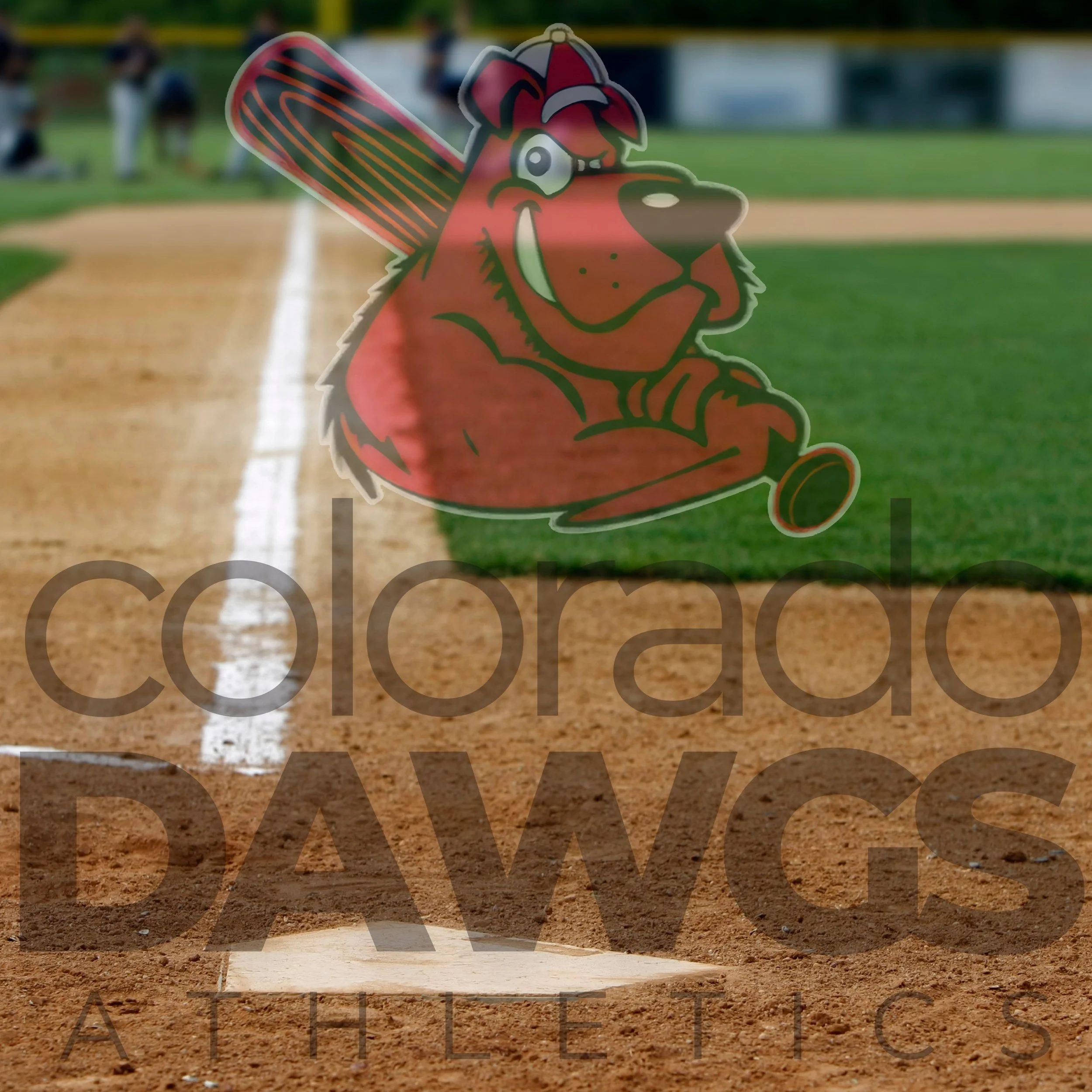 Co Dawgs Background.jpg