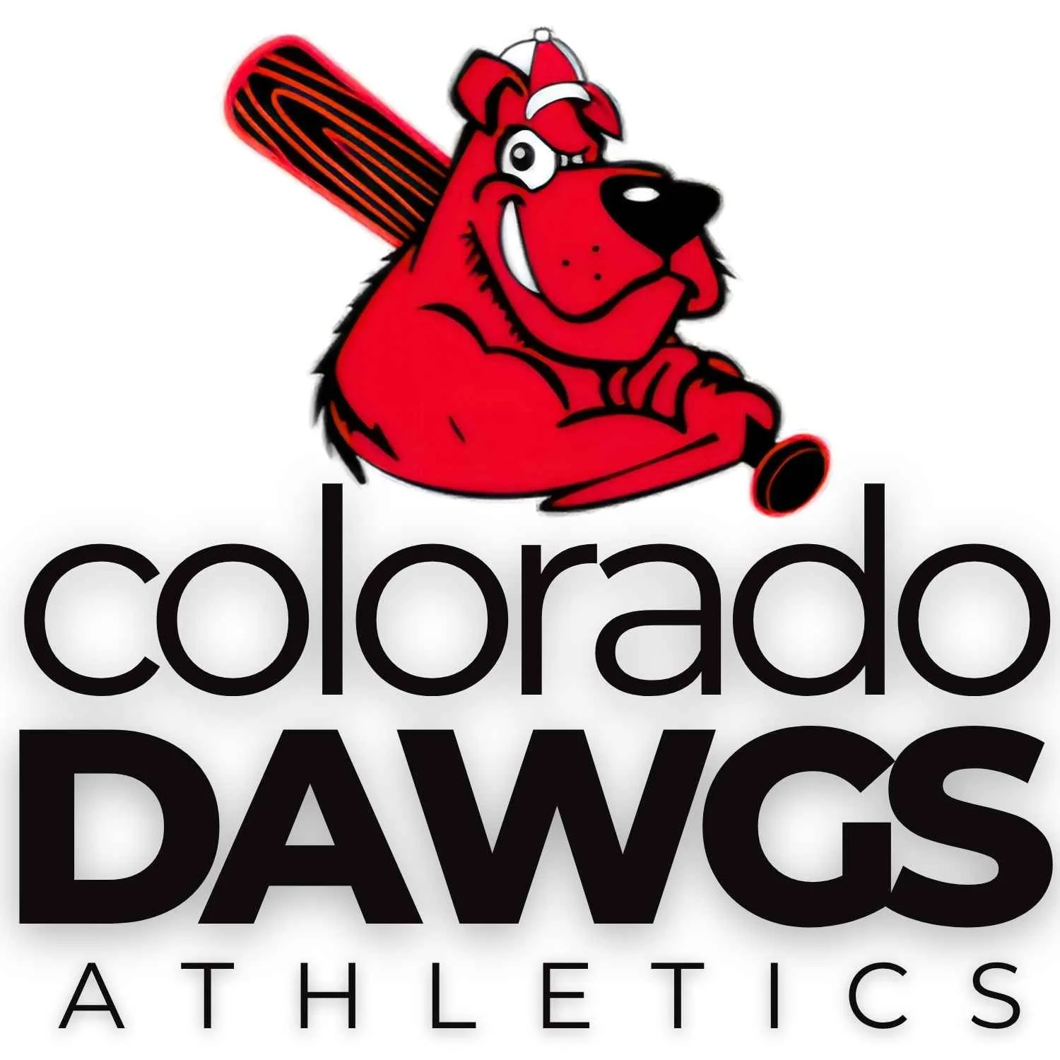 8U Simington Tournaments Payment 1