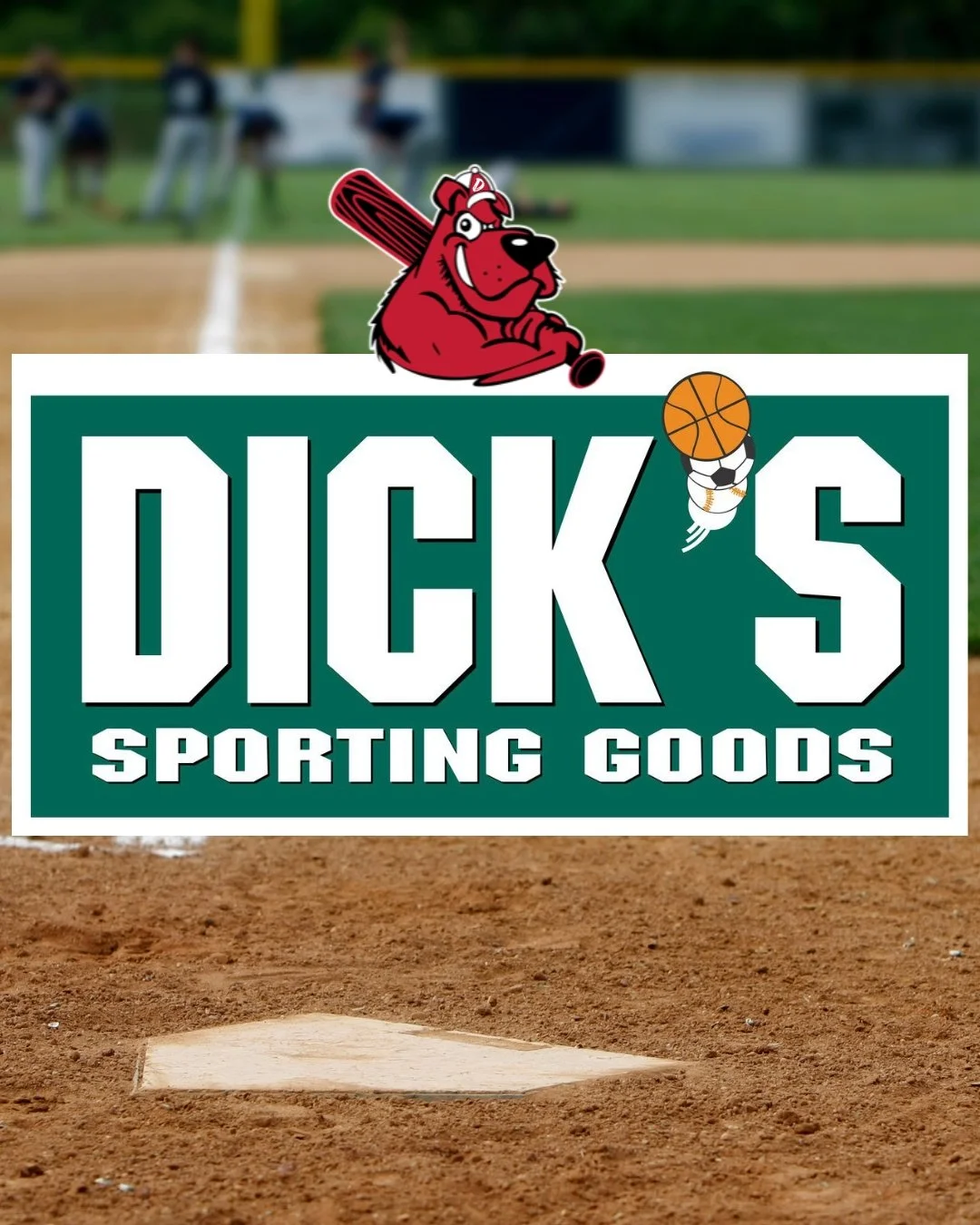 Dicks Sporting Goods.jpg