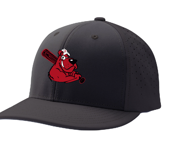 Dawgs Black Hat.png
