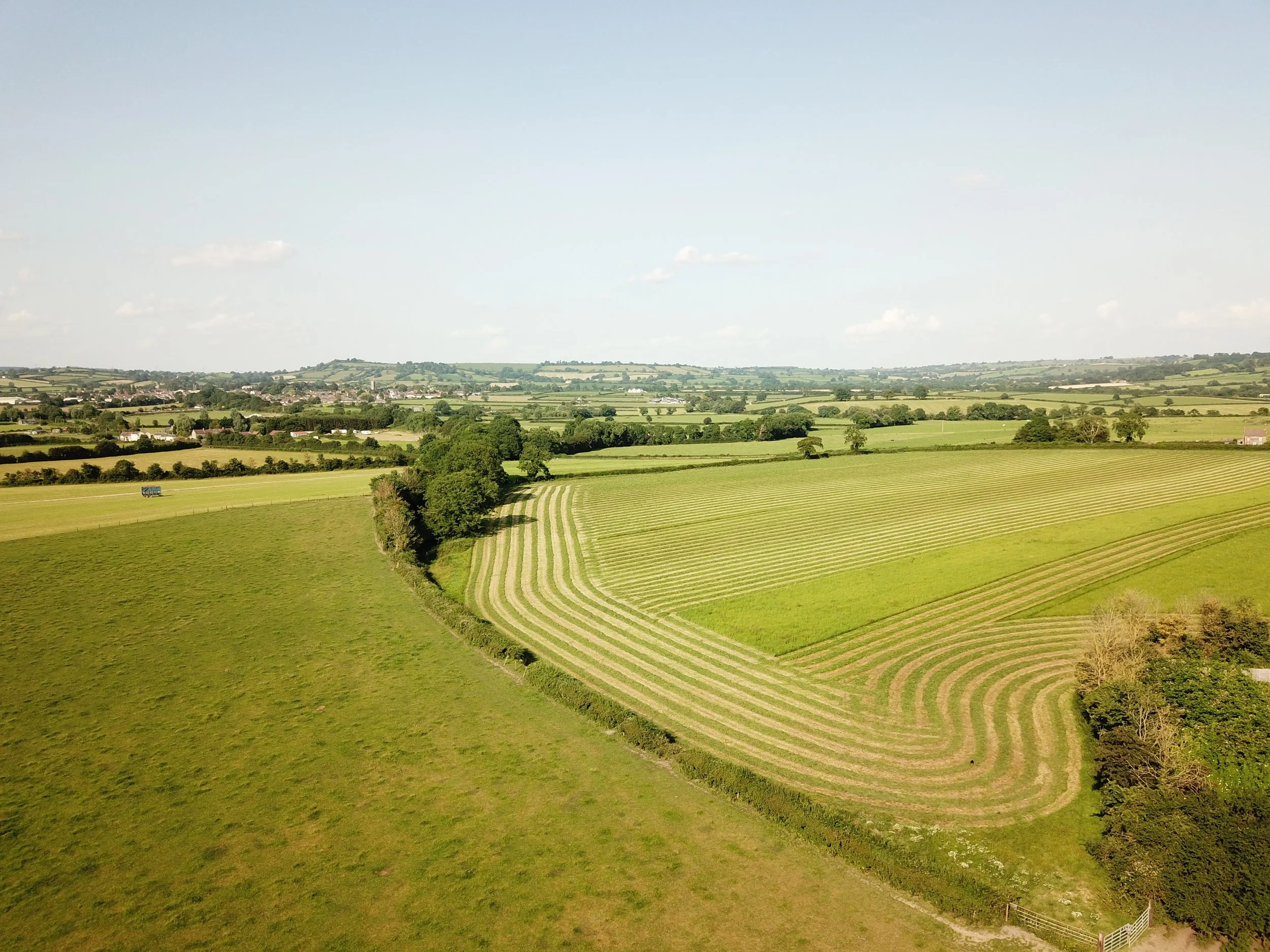 Aerial view of rolling green fields, some with striped hay or crop rows, small trees, and a distant horizon under a light blue sky with scattered clouds.