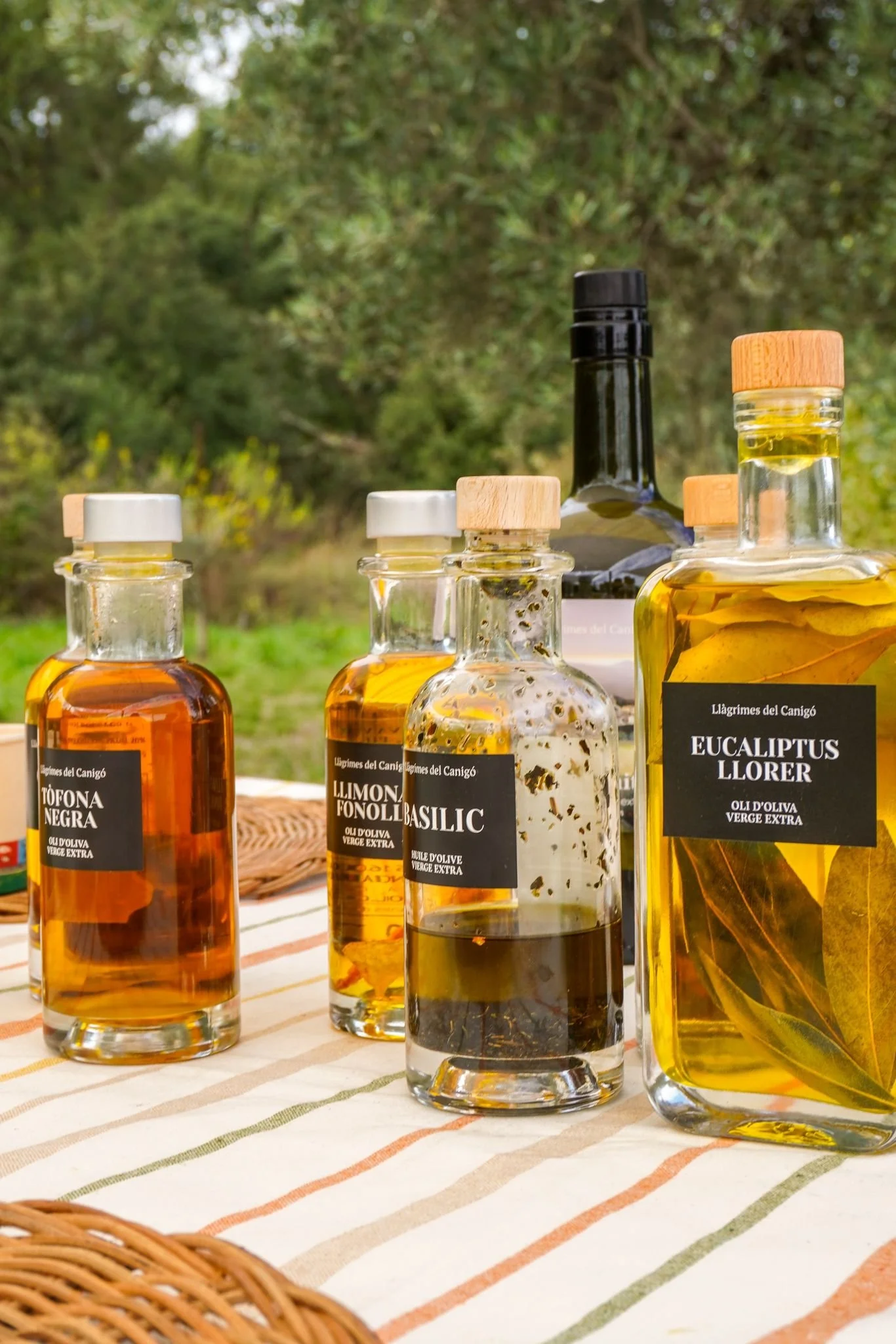 Matinal Especial d’any nou: Degustació Premium d’Oli &amp; Taller Infantil de Farolins