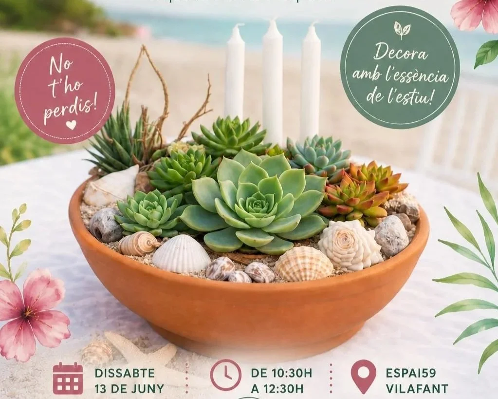 Taller de Plantes Suculentes