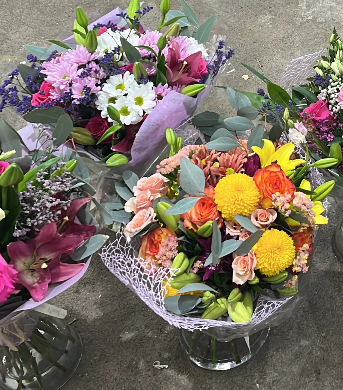 WhatsApp Image 2026-01-12 at 17.40.53.jpeg