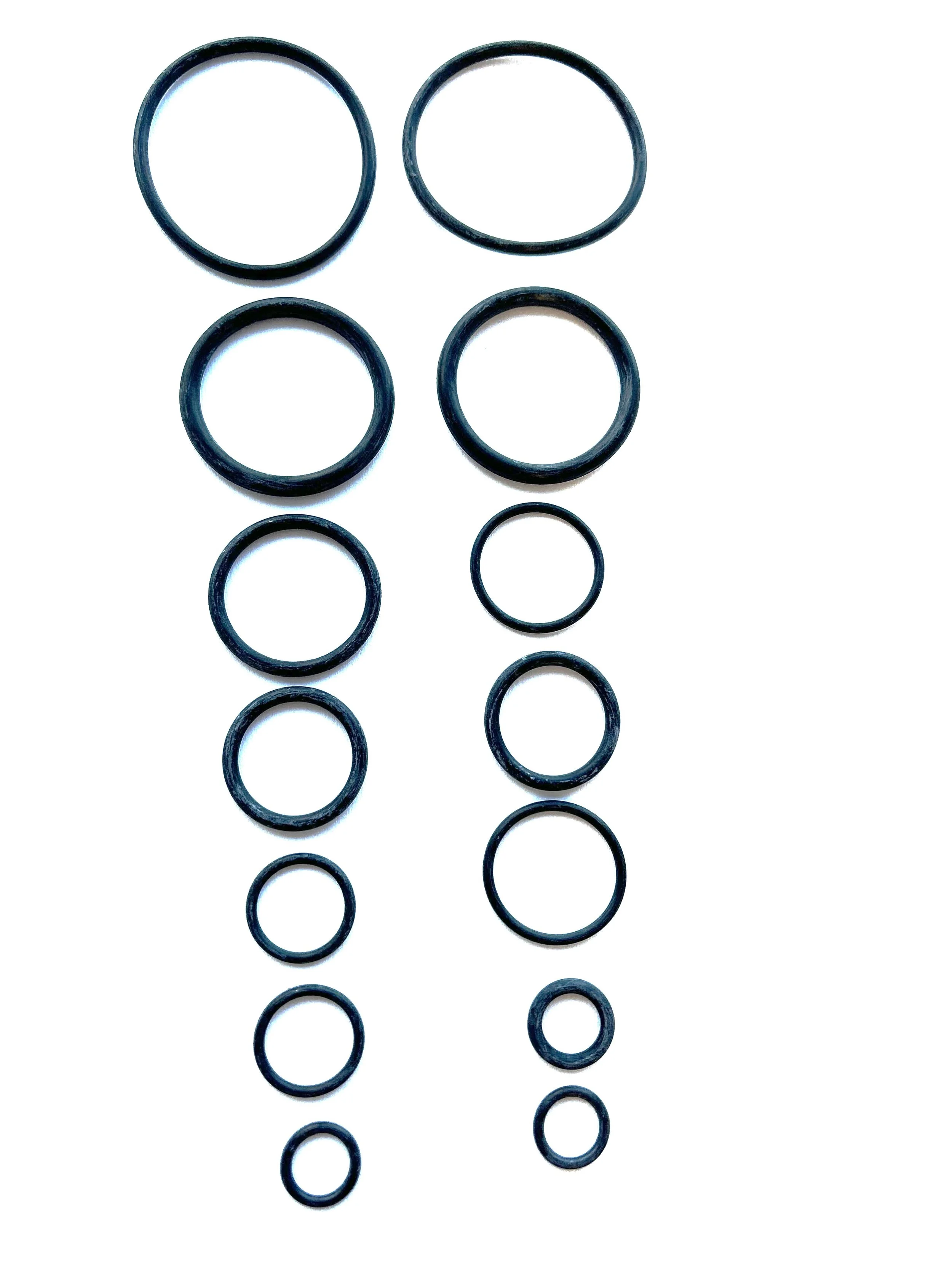 1002388194 O-Ring Kit for WaterBoss and AquaMaster water softeners