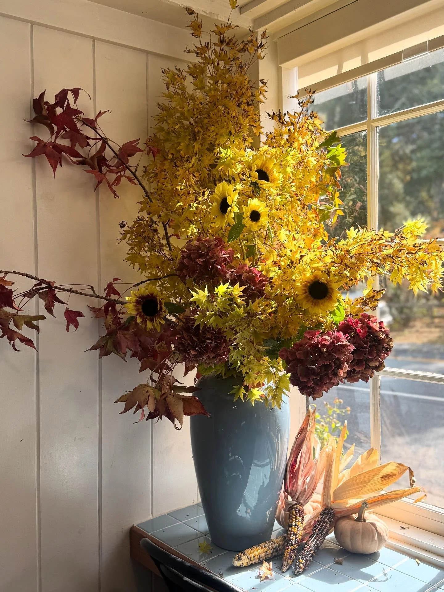 happy weekend friends ✌️ Japanese maple giving the corner window a major glow up.
